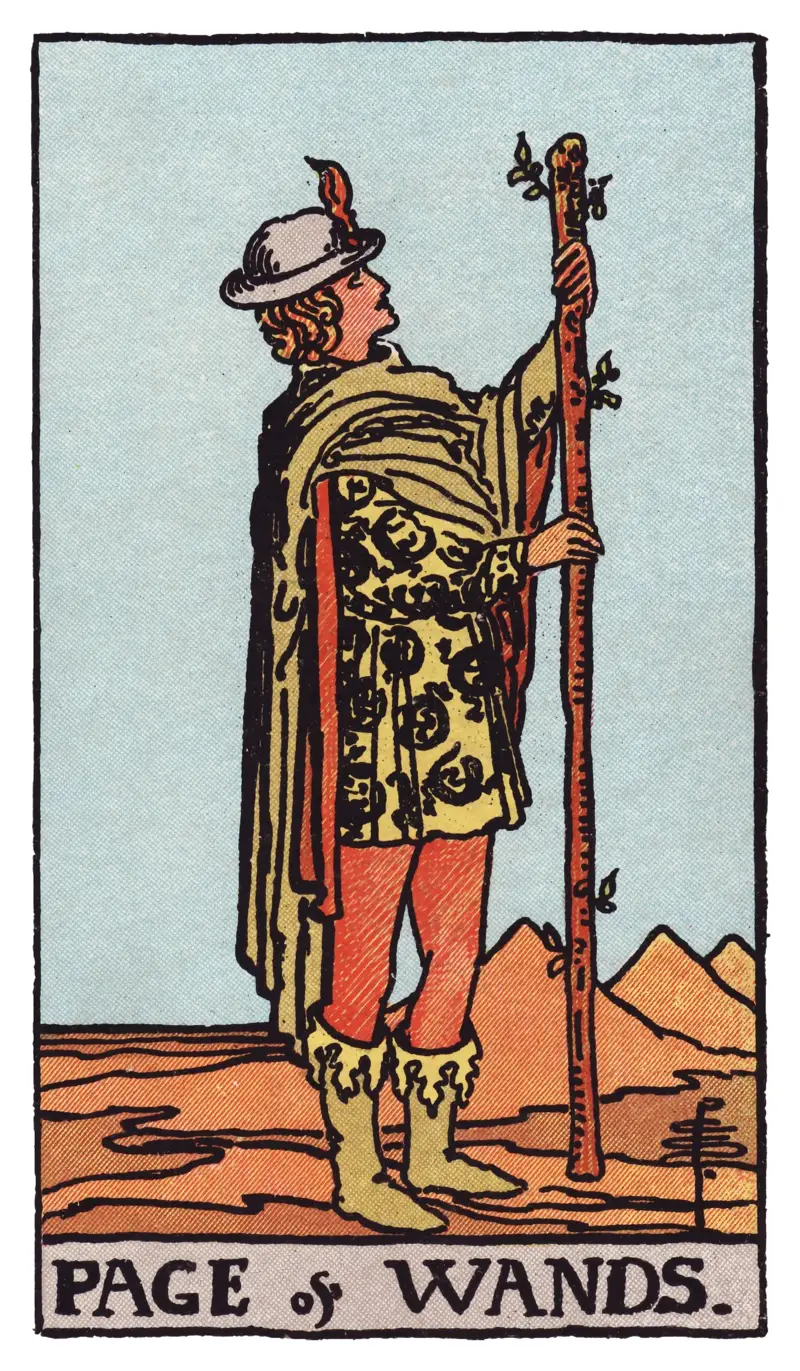 Page of Wands tarot card — youth in a patterned tunic and feathered hat studying a tall upright wand in an open barren landscape, Rider-Waite-Smith deck